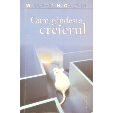 CUM GANDESTE CREIERUL