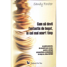 CUM SA DEVII FANTASTIC DE BOGAT, IN CEL MAI SCURT TIMP