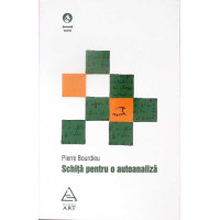 SCHITA PENTRU AUTOANALIZA SCHITA PENTRU AUTOANALIZA