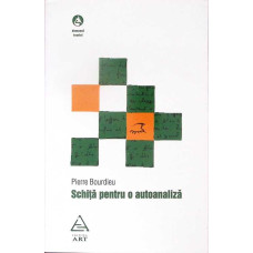 SCHITA PENTRU AUTOANALIZA