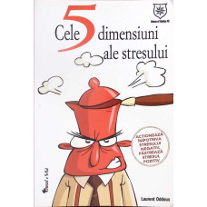 CELE 5 DIMENSIUNI ALE STRESULUI