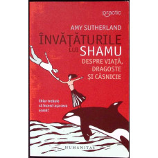 INVATATURILE LUI SHAMU DESPRE VIATA, DRAGOSTE SI CASNICIE