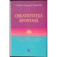 CREATIVITATEA SPONTANA