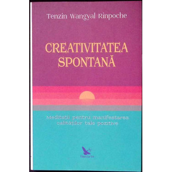 CREATIVITATEA SPONTANA
