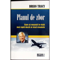 PLANUL DE ZBOR. CUM SA REUSESTI IN VIATA MAI RAPID DECAT AI VISAT VREODATA