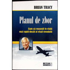 PLANUL DE ZBOR. CUM SA REUSESTI IN VIATA MAI RAPID DECAT AI VISAT VREODATA