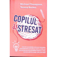 COPILUL DESTRESAT