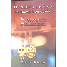 MINDFULNESS IN RELATIA DE CUPLU