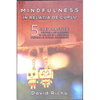 MINDFULNESS IN RELATIA DE CUPLU