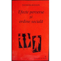 EFECTE PERVERSE SI ORDINE SOCIALA