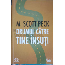 DRUMUL CATRE TINE INSUTI