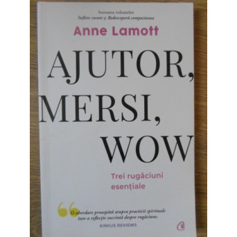 AJUTOR, MERSI, WOW. TREI RUGACIUNI ESENTIALE
