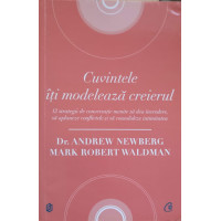CUVINTELE ITI MODELEAZA CREIERUL CUVINTELE ITI MODELEAZA CREIERUL