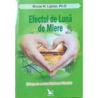 EFECTUL DE LUNA DE MIERE. STIINTA DE A CREA RAIUL PE PAMANT EFECTUL DE LUNA DE MIERE. STIINTA DE A CREA RAIUL PE PAMANT