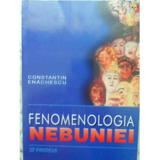 FENOMENOLOGIA NEBUNIEI