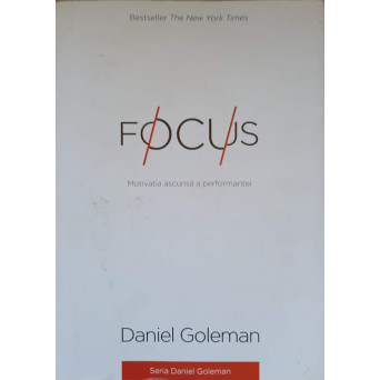 FOCUS. MOTIVATIA ASCUNSA A PERFORMANTEI