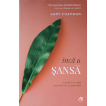 INCA O SANSA. CE POTI FACE CAND MARIAJUL TAU SE DESTRAMA