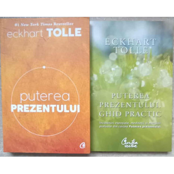LOT 2 CARTI PUTEREA PREZENTULUI (CARTE SI GHID PRACTIC)