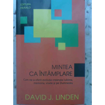 MINTEA CA INTAMPLARE