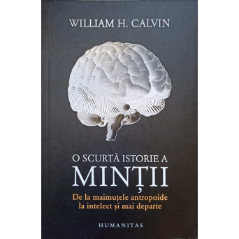 O SCURTA ISTORIE A MINTII. DE LA MAIMUTELE ANTROPOIDE LA INTELECT SI MAI DEPARTE