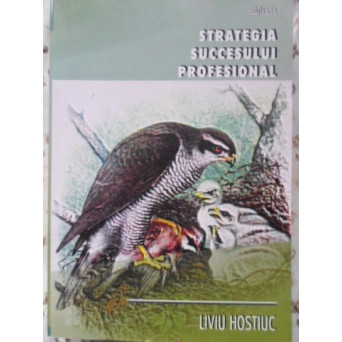 STRATEGIA SUCCESULUI PROFESIONAL