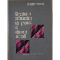 STRUCTURILE PSIHOSOCIALE ALE GRUPULUI SI EFICIENTA ACTIUNII STRUCTURILE PSIHOSOCIALE ALE GRUPULUI SI EFICIENTA ACTIUNII