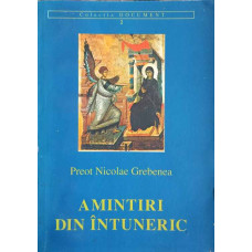 AMINTIRI DIN INTUNERIC