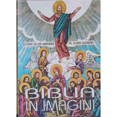 BIBLIA IN IMAGINI - IN SPRIJINUL PREDARII ORELOR DE RELIGIE