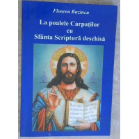 LA POALELE CARPATILOR CU SFANTA SCRIPTURA DESCHISA VOL. 4 LA POALELE CARPATILOR CU SFANTA SCRIPTURA DESCHISA VOL. 4
