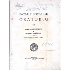 PATIMILE DOMNULUI