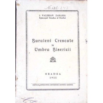 BURUIENI CRESCUTE LA UMBRA BISERICII