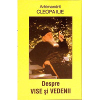 DESPRE VISE SI VEDENII DESPRE VISE SI VEDENII