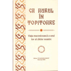 CA AURUL IN TOPITOARE. VIATA MUCENICEASCA A UNUI IOV AL ZILELOR NOASTRE