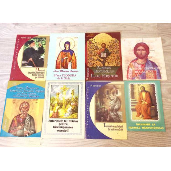 LOT 8 CARTICELE RELIGIOASE-BISERICESTI (ACATISTE, CARTI DE RUGACIUNE)