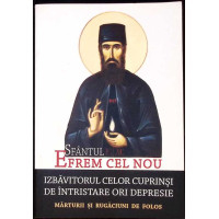 SFANTUL EFREM CEL NOU: IZBAVITORUL CELOR CUPRINSI DE INTRISTARE ORI DEPRESIE