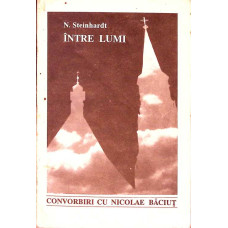 INTRE LUMI. CONVORBIRI CU NICOLAE BACIUT