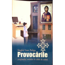 PROVOCARILE CRESTINULUI ORTODOX IN ZILELE DE ASTAZI