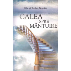 CALEA SPRE MANTUIRE