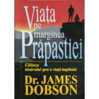 VIATA PE MARGINEA PRAPASTIEI. CALAUZA TANARULUI SPRE O VIATA IMPLINITA VIATA PE MARGINEA PRAPASTIEI. CALAUZA TANARULUI SPRE O VIATA IMPLINITA