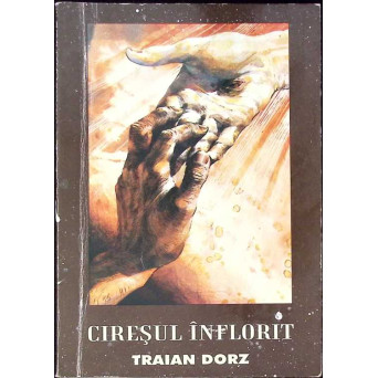 CIRESUL INFLORIT