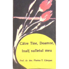 CATRE TINE, DOAMNE, INALT SUFLETUL MEU