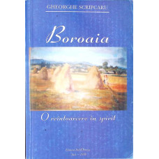 BOROAIA - REINTOARCERE IN SPIRIT