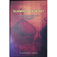 ISLAMUL SI CELALALT. CINE PE CINE RECUNOASTE SI CINE PE CINE CONTESTA