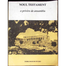 NOUL TESTAMENT O PRIVIRE DE ANSAMBLU