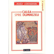 CALEA SPRE DUMNEZEU. REFLECTII PSIHOLOGICO-SPIRITUALE ASUPRA ANUMITOR FORME DE EXPERIENTA RELIGIOASA