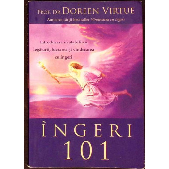 INGERI 101