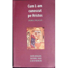 CUM L-AM CUNOSCUT PE HRISTOS. DRUMUL SPRE CASA DUPA ADROGURI, DESFRAU, YOGA SI ALTE RATACIRI