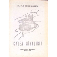 CALEA MANTUIRII