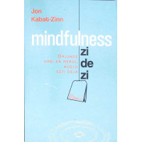 MINDFULNESS ZI DE ZI MINDFULNESS ZI DE ZI