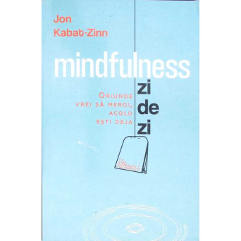 MINDFULNESS ZI DE ZI